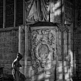 vignette