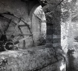 vignette
